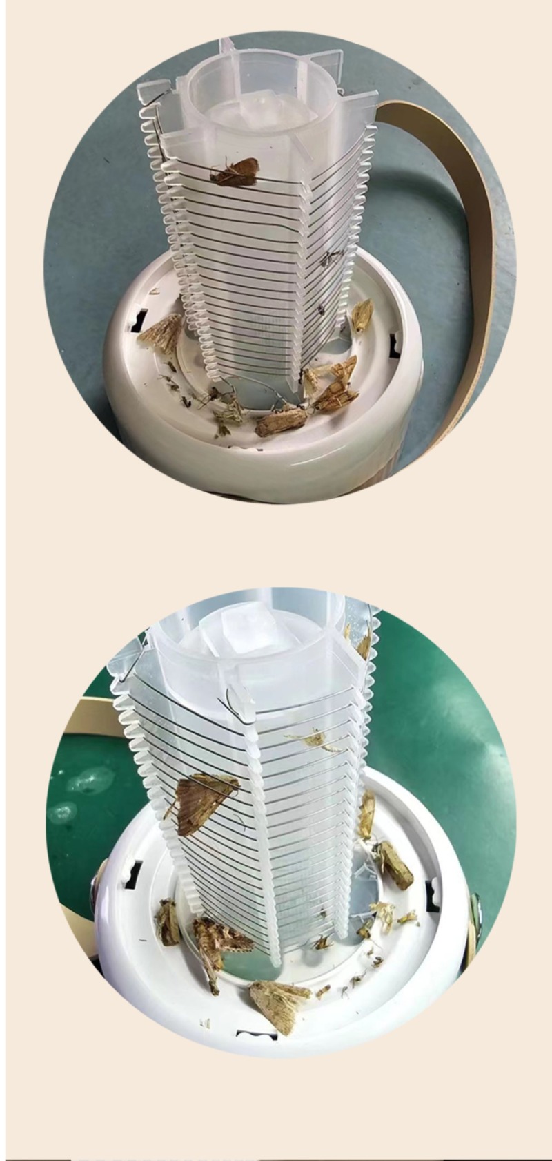 Screenshot 2025-11-07 at 04.51.17.JPG