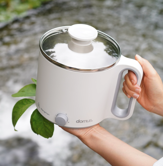 [HAAN] Soymilk Porridge Maker