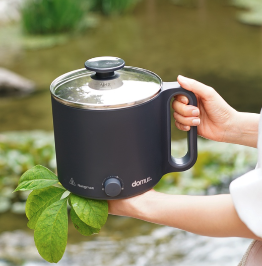 [HAAN] Soymilk Porridge Maker